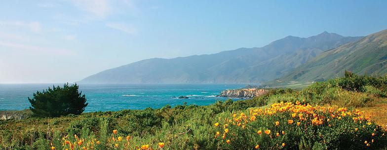 Monarch Grand Vacations